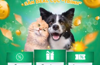 [🆕🇻🇳] Bệnh viện thú y PetHealth Hoàng Mai 🐶🦜 Top1Pets 🐱🐠 ĐÓN HÈ RÌNH RANG – SĂN DEAL CỰC “TRÌNH”
Ối zồi ôi, ối zồi ôiPetHealth chơi lớn quá sen ơiLoạt dịch vụ HOT đang được săn đón nhất hè này đã có ưu đãi ngập , shares-13✔️ , likes-12❤️️ , date-2025-07-03 18:52:10🐶🐱🇻🇳🇻🇳🇻🇳📰🆕