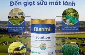 [🆕🇻🇳] Thế Giới Sữa Thịnh Quỳnh – Đông Hưng – Thái Bình 🧑‍🧒❤️️👶⭐️  TỪ TRANG TRẠI XANH ĐẾN GIỌT SỮA MÁT LÀNH – HÀNH TRÌNH TINH KHIẾT CỦA BLANMILBạn có biết? Mỗi giọt sữa Blanmil đều bắt đầu từ những trang trại bò c , shares-0✔️ , likes-0❤️️ , date-2025-07-02 16:41:02🇻🇳🇻🇳🇻🇳📰🆕