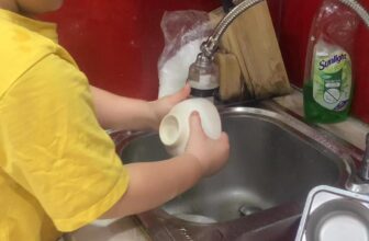 [🆕🇻🇳] Royal Fashion – Thời Trang Trẻ Em Cao Cấp 🧑‍🧒❤️️👶⭐️  , shares-0✔️ , likes-0❤️️ , date-2025-07-20 20:23:28🇻🇳🇻🇳🇻🇳📰🆕