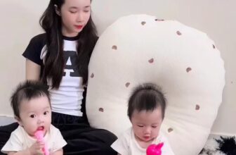 [🆕🇻🇳] Aladdinvina – NK & Phân phối đồ dùng Hàn Quốc 🧑‍🧒❤️️👶⭐️ Hãy cùng các hotmom trải nghiệm dòng gối chống trào ngược cao cấp, đến từ Hàn Quốc nha. , shares-0✔️ , likes-0❤️️ , date-2025-07-08 00:13:49🇻🇳🇻🇳🇻🇳📰🆕
