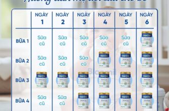 [🆕🇻🇳] Thế Giới Sữa Thịnh Quỳnh – Đông Hưng – Thái Bình 🧑‍🧒❤️️👶⭐️ CHUYỂN SỮA AN TOÀN – KHÔNG LO RỐI LOẠN TIÊU HÓA
Việc đổi sữa cho bé tưởng như đơn giản, nhưng nếu không đúng cách, bé có thể gặp phải các vấn đề rối loạ , shares-0✔️ , likes-0❤️️ , date-2025-07-05 16:28:16🇻🇳🇻🇳🇻🇳📰🆕