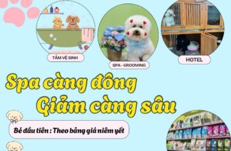[🆕🇻🇳] Gạo Pet House 🐶🦜 Top1Pets 🐱🐠  𝐂𝐇𝐔̛𝐎̛𝐍𝐆 𝐓𝐑𝐈̀𝐍𝐇 𝐔̛𝐔 Đ𝐀̃𝐈 𝐃𝐀̀𝐍𝐇 𝐑𝐈𝐄̂𝐍𝐆 𝐂𝐇𝐎 𝐂𝐀́𝐂 𝐁𝐎𝐒𝐒 𝐕𝐀̀ 𝐒𝐄𝐍 𝐂𝐔̉𝐀 𝐍𝐇𝐀̀ 𝐆𝐀̣𝐎𝐔̛𝐮 đ𝐚̃𝐢 ” 𝐇𝐚𝐩𝐩𝐲 𝐃𝐚𝐲 – 𝐓𝐡𝐮̛́ 4⃣ 𝐕𝐮𝐢 𝐕𝐞̉ ”#𝑯𝑨𝑷𝑷𝒀𝑫𝑨𝒀 từ 2 bé giảm 10%, , shares-18✔️ , likes-15❤️️ , date-2025-07-14 02:56:38🐶🐱🇻🇳🇻🇳🇻🇳📰🆕