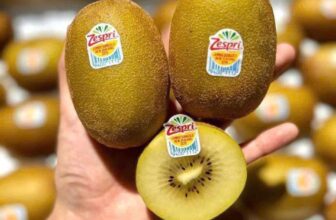 [🆕🇻🇳] Hoa Quả 4Mùa – Cửa hàng rau quả 🍔 Top1Food  🍜  E chạy các mã hot hit sau ạCherry mỹ chủng con công : #379k/ kg size to giòn ngọt
Nho mẫu đơn chùm bắp VIP : #179k/ chùm
Mận róc hạt giòn ngọt set 3 , shares-0✔️ , likes-0❤️️ , date-2025-07-15 03:54:03🇻🇳🇻🇳🇻🇳📰🆕