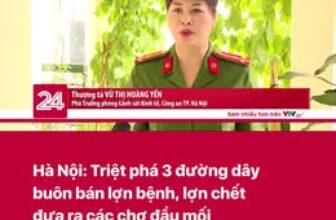 [🆕🇻🇳]  Thuỷ Nghé Kids  – Chuyên sỉ SLL quần áo Thời Trang Trẻ Em & Sơ Sinh đầy đủ các mẫu 🧑‍🧒❤️️👶⭐️  , shares-0✔️ , likes-0❤️️ , date-2025-07-09 18:33:53🇻🇳🇻🇳🇻🇳📰🆕