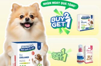 [🆕🇻🇳] FivePet – Fivevet for Pet 🐶🦜 Top1Pets 🐱🐠  , shares-0✔️ , likes-0❤️️ , date-2025-07-09 22:22:43🐶🐱🇻🇳🇻🇳🇻🇳📰🆕