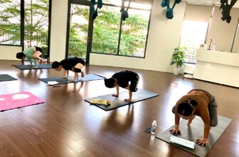 [🆕🇻🇳] US YOGA HCM  🧘 Top1Yoga 🤸🏻‍♀️  US CHIÊU SINH LỚP YOGA CỘNG ĐỒNG
– Khung giờ vàng mỗi ngày tại Us:
6h15 sáng 246 – Khởi đầu ngày mới đầy năng lượng
18h15 chiều 357 – Lớp trung cấp  , shares-6✔️ , likes-2❤️️ , date-2025-07-09 16:00:31🇻🇳🇻🇳🇻🇳📰🆕