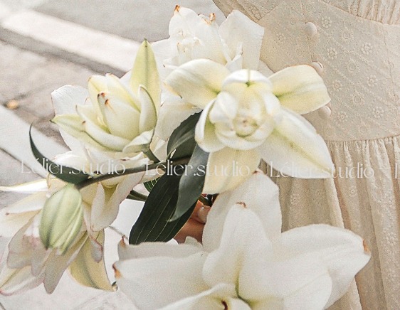 [🆕🇻🇳] Paddy Baby – Mẹ và Bé nội địa Hàn 🧑‍🧒❤️️👶⭐️ 𝐍𝐞𝐰 𝐀𝐫𝐫𝐢𝐯𝐚𝐥
𝐂𝐡𝐚́𝐨 𝐭𝐮̛𝐨̛𝐢 𝐡𝐮̛̃𝐮 𝐜𝐨̛ 𝐚̆𝐧 𝐥𝐢𝐞̂̀𝐧 𝐀𝐥𝐯𝐢𝐧𝐬 𝐇𝐚̀𝐧 𝐐𝐮𝐨̂́𝐜 – 𝐁𝐮̛̃𝐚 𝐚̆𝐧 𝐧𝐡𝐚𝐧𝐡 𝐠𝐨̣𝐧, 𝐜𝐡𝐮𝐚̂̉𝐧 𝐝𝐢𝐧𝐡 𝐝𝐮̛𝐨̛̃𝐧𝐠 𝐜𝐡𝐨 𝐛𝐞́ALVINS – thương hiệu cháo hữu , shares-0✔️ , likes-0❤️️ , date-2025-07-18 02:00:34🇻🇳🇻🇳🇻🇳📰🆕