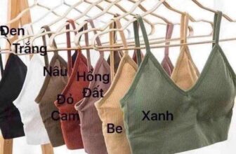 [🆕🇻🇳]  Tuyên Thuỳ Hải Phòng Shop Quần Áo Trẻ Em-Đồ Sơ Sinh-Giày Dép-Bỉm 🧑‍🧒❤️️👶⭐️ #25k / áo có đệm mút ( hết trắng)
E sẵn
, shares-0✔️ , likes-10❤️️ , date-2025-07-11 16:36:20🇻🇳🇻🇳🇻🇳📰🆕