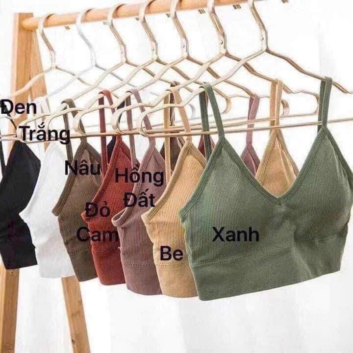 [🆕🇻🇳]  Tuyên Thuỳ Hải Phòng Shop Quần Áo Trẻ Em-Đồ Sơ Sinh-Giày Dép-Bỉm 🧑‍🧒❤️️👶⭐️ #25k / áo có đệm mút ( hết trắng)
E sẵn
, shares-0✔️ , likes-10❤️️ , date-2025-07-11 16:36:20🇻🇳🇻🇳🇻🇳📰🆕