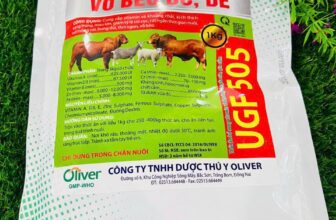 [🆕🇻🇳] Nhà Phân Phối Thuốc Thú Y Và Thức Ăn Gia Súc Kim Cương 👕 Top1Fashion 👗  Vỗ béo bò, dê
UGF 505 gói 1kg: kích thích tăng trọng, mau lớn, thịt ngon, vỗ béo
—————————
Chuyên cung cấp sỉ và lẻ các sản phẩm thuốc t , shares-1✔️ , likes-0❤️️ , date-2025-07-12 04:29:28🇻🇳🇻🇳🇻🇳📰🆕