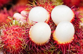 [🆕🇻🇳] Top1Vietnam ♥️️ Trà Sữa Chôm Chôm trứ danh đã “đủ đầy” mời đoàn mình ghé KATINAT thưởng thức. Nơi những mùa bội thu chín mọng, từng trái Chôm Chôm chất lượng, ngọt thanh h , shares-6✔️ , likes-211❤️️ , date-2025-07-16 17:00:14🇻🇳🇻🇳🇻🇳📰🆕