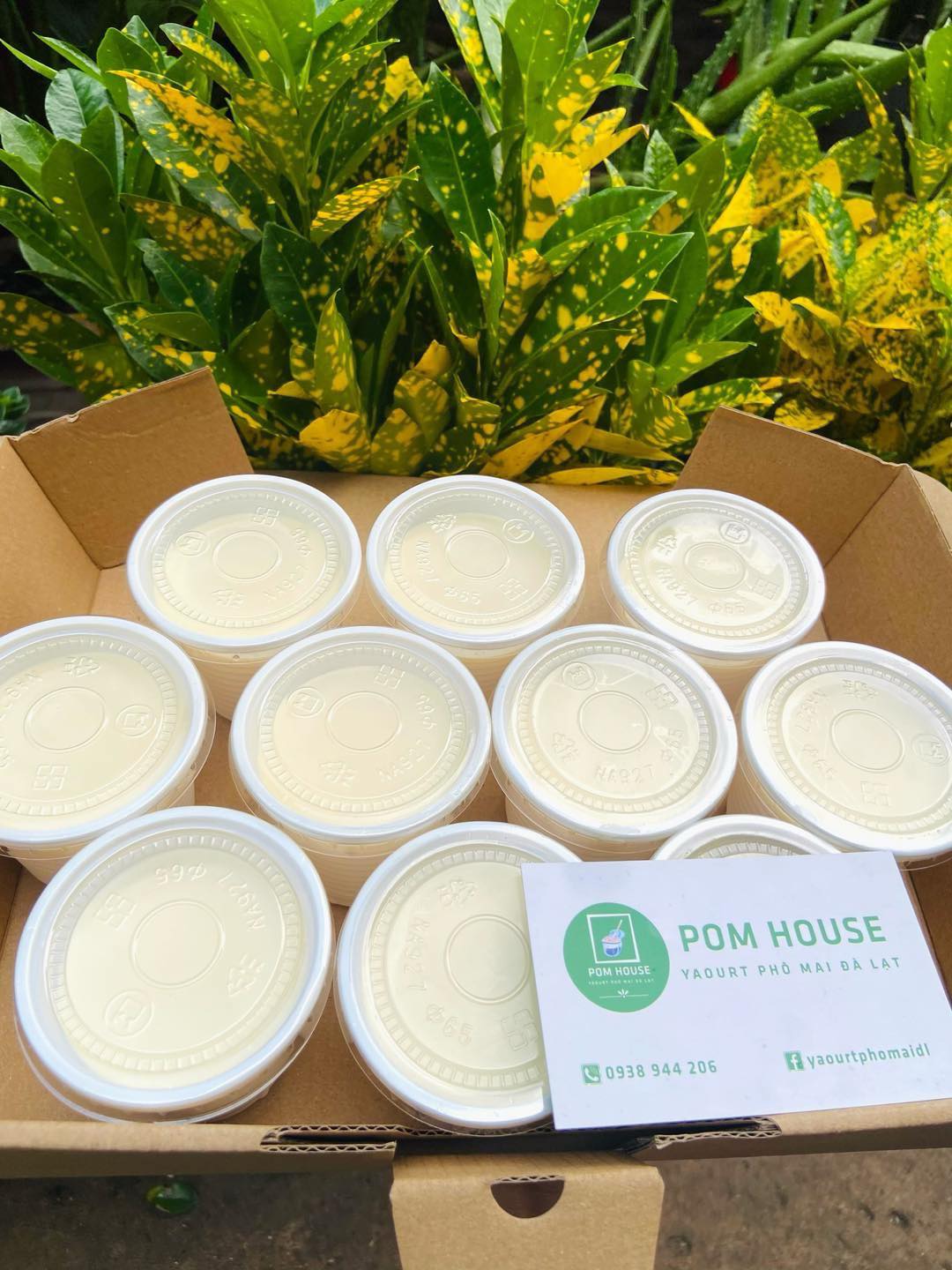 [🆕🇻🇳] Yaourt Phô Mai Đà Lạt – PomHouse 🍔 Top1Food  🍜 YAOURT PHÔ MAI ĐÀ LẠT cập bến SÀI GÒN
Lên đơn thôiiiii
Yaourt sánh mịn hòa quyện cùng với lớp phô mai béo mịn tạo nên hương vị bùng nổ sau mỗi bữa ăn
Với  , shares-0✔️ , likes-0❤️️ , date-2025-07-19 17:10:28🇻🇳🇻🇳🇻🇳📰🆕