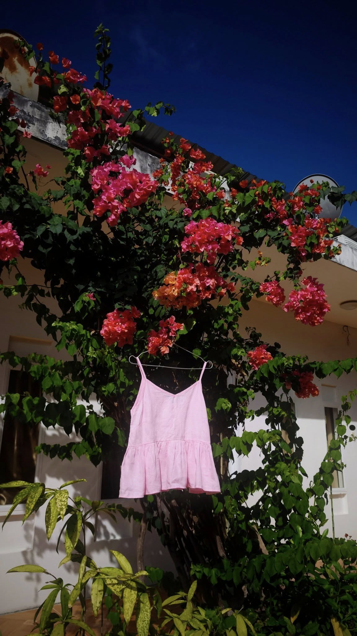 [🆕🇻🇳] JOLI DOLL – Thương hiệu thời trang thiết kế và đính kết cao cấp dành cho bé yêu 👕 Top1Fashion 👗
𝒮𝒽ℯ’𝓈 𝒶 𝓅𝒾𝓃𝓀 𝒸ℴ𝓉𝓉ℴ𝓃 𝒸𝒶𝓃𝒹𝓎 𝒸𝓁ℴ𝓊𝒹 — 𝓈ℴ𝒻𝓉 𝒶𝓈 𝒶 𝓂𝒶𝓇𝓈𝒽𝓂𝒶𝓁𝓁ℴ𝓌, 𝓈𝓌ℯℯ𝓉 𝓁𝒾𝓀ℯ 𝒶 𝒹𝓇ℯ𝒶𝓂, 𝒶𝓃𝒹 𝓈𝓅𝓇𝒾𝓃𝓀𝓁ℯ𝒹 𝓌𝒾𝓉𝒽 𝒶 𝓁𝒾𝓉𝓉𝓁ℯ 𝓂𝒶ℊ𝒾𝒸Model kid: Bé Nhã Tâm
Concept : XuanLa , shares-0✔️ , likes-1❤️️ , date-2025-04-16 16:23:47🇻🇳🇻🇳🇻🇳📰🆕