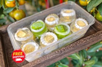 [🆕🇻🇳] Qcake – Quận 10 – Tiệm bánh 🍔 Top1Food  🍜 Chiều nay Qcake đang còn
#freeship với đơn bánh và rau câu4 hộp bánh cua phomai 85k/h
2 rau câu dừa Flan 85k/ hộp
2 hộp  su giòn 80k/hộp 8c
2 flangato 1 , shares-1✔️ , likes-3❤️️ , date-2025-07-16 23:20:56🇻🇳🇻🇳🇻🇳📰🆕