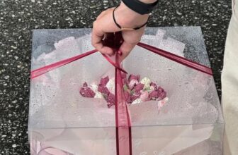 [🆕🇻🇳] Hộp giấy đựng thực phẩm, Cốc Giấy, Bát Giấy, Hộp đựng bánh sinh nhật  🎨 Top1Designs ✨  Tình hình mưa bão của các bác miền Bắc như nào rồi ạKhông ngại mưa gió – Mica chấp hết ạ
Lên set không chỉ đẹp mà đảm bảo an toàn cho bánh luôn
Đa dạn , shares-0✔️ , likes-2❤️️ , date-2025-07-23 17:15:02🇻🇳🇻🇳🇻🇳📰🆕