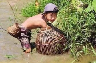 [🆕🇻🇳] Ký ức tuổi thơ ♥️️ Top1Life 🌱  Một thời tuổi thơ…
, shares-88✔️ , likes-12K❤️️ , date-2025-07-21 01:29:43🇻🇳🇻🇳🇻🇳📰🆕