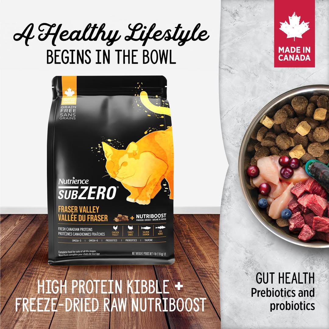 [🆕🇻🇳] Đậu Đậu Kids – Chuyên hàng thời trang trẻ em 🧑‍🧒❤️️👶⭐️  𝑪𝒐𝒐𝒍 𝒂𝒔 𝑴𝒊𝒏𝒕 – Gu xanh cực cháyOutfit chuẩn “bé trai xứ Hàn”: tone xanh tươi mát, form rộng năng động
Mặc đi chơi, đi học hay đi cà phê cùng mẹ đều bao , shares-0✔️ , likes-2❤️️ , date-2025-07-19 22:00:37🇻🇳🇻🇳🇻🇳📰🆕