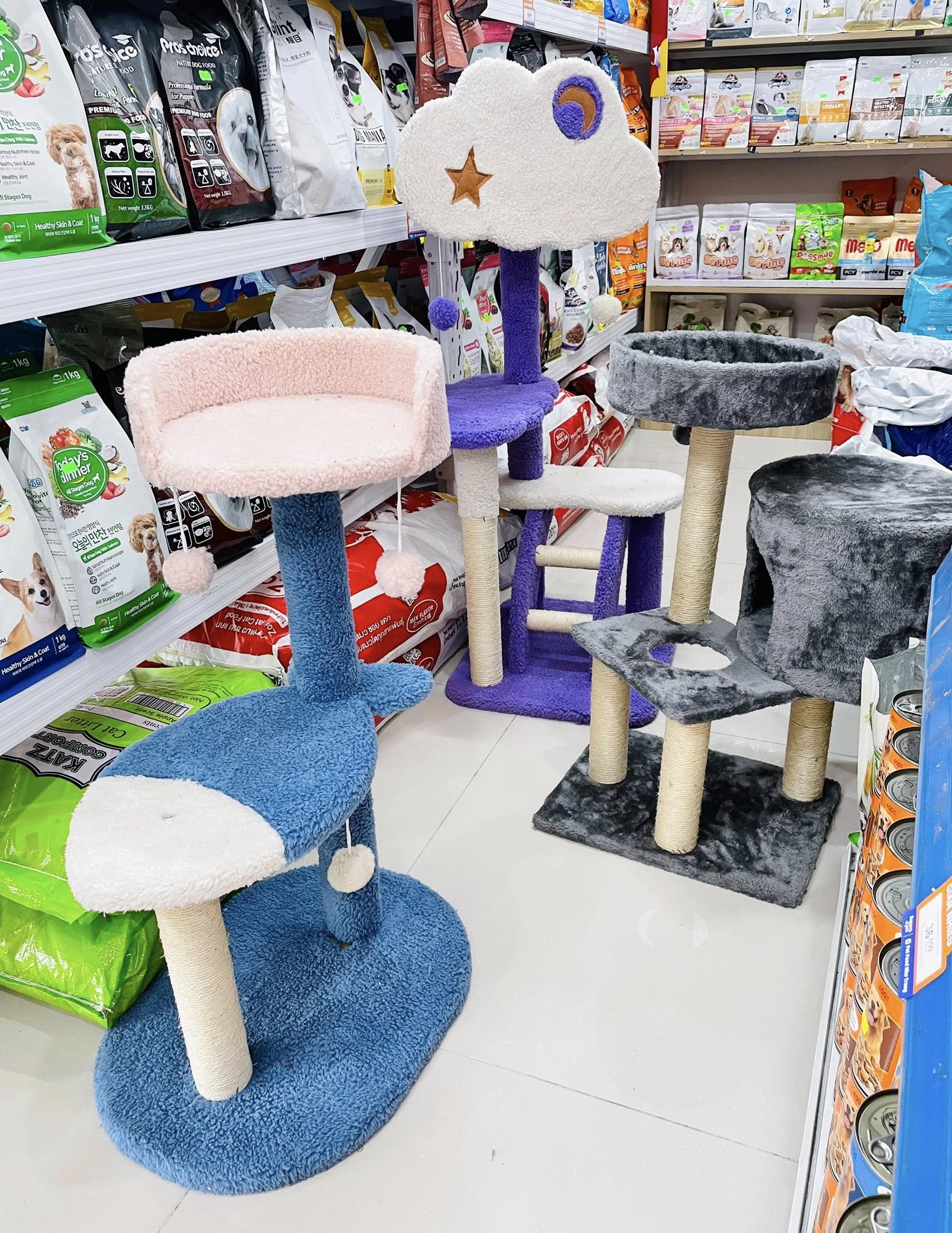 [🆕🇻🇳] Bủm PetShop Nha Trang 🐶🦜 Top1Pets 🐱🐠 Tổng hợp những món vừa chơi ,vừa cào, vừa nằm, vừa leo trèo nhà BumperĐặc biệt: Bumper Petshop là cửa hàng phân phối các sản phẩm chính hãng, được chọn , shares-0✔️ , likes-2❤️️ , date-2025-07-12 05:47:49🐶🐱🇻🇳🇻🇳🇻🇳📰🆕