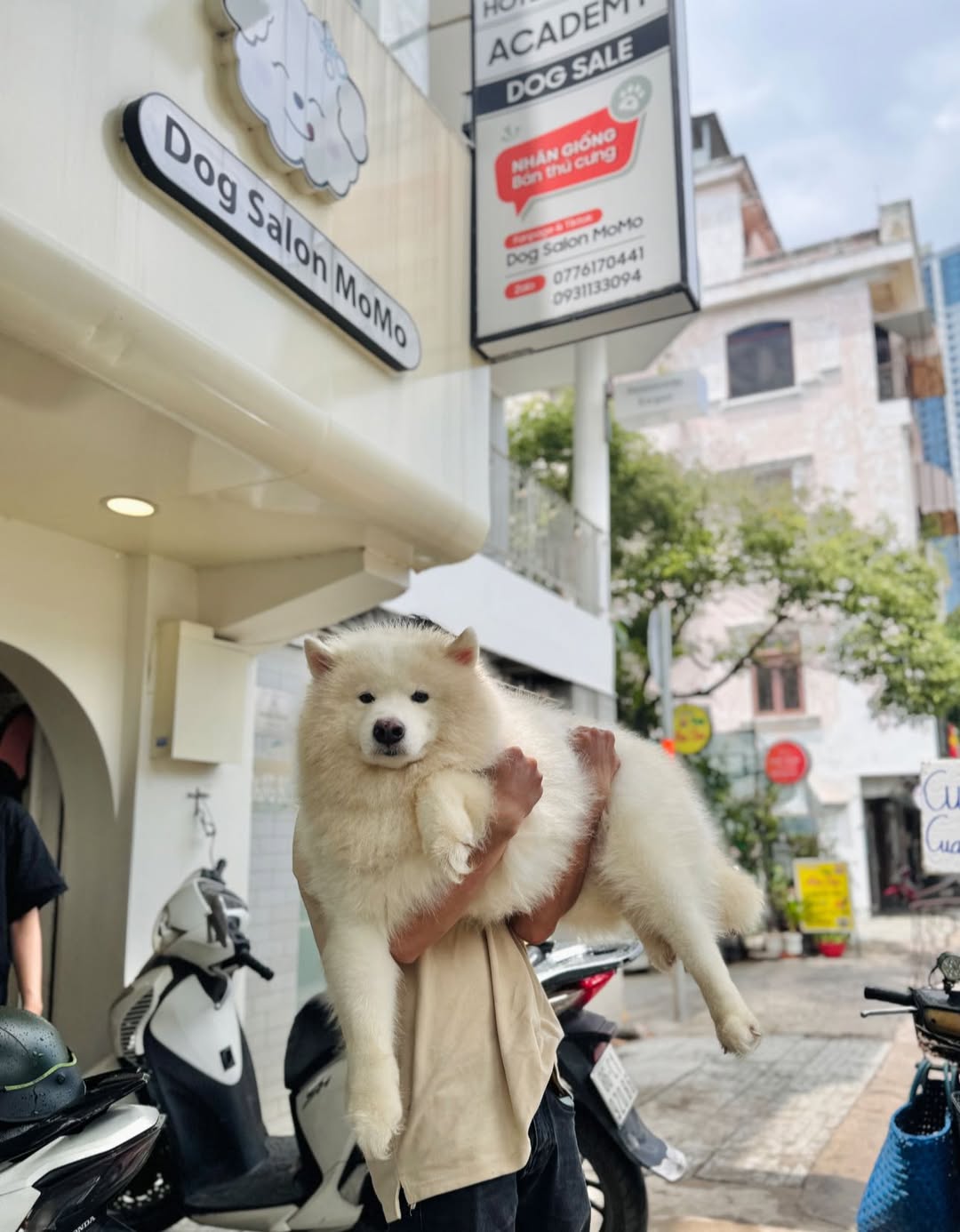 [🆕🇻🇳] Dog Salon MoMo & Academy – Studio – Spa – Hotel – Academy 🐶🦜 Top1Pets 🐱🐠 HELLO, TUI ĐẾN ĐÂY .
Đầu tuần được ông bà zà cho đi làm đẹp ở Dog Salon Momo
Tui làm combo đủ 15 bước thơm tho sạch đẹp luôn nhen
—————
Dog salon MoMo : , shares-0✔️ , likes-3❤️️ , date-2025-07-21 18:38:40🐶🐱🇻🇳🇻🇳🇻🇳📰🆕