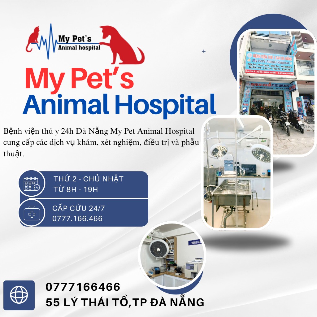 [🆕🇻🇳] Phòng Khám Thú Y 24H Đà Nẵng My Pet Clinic 🐶🦜 Top1Pets 🐱🐠  BỆNH VIỆN THÚ Y 24H ĐÀ NẴNG – MY PET’S ANIMAL HOSPITAL
Tận tâm – Hiện đại – Chuyên nghiệpVới cơ sở vật chất hiện đại, thiết bị tiên tiến và đội ngũ bá , shares-0✔️ , likes-70❤️️ , date-2025-07-18 22:13:44🐶🐱🇻🇳🇻🇳🇻🇳📰🆕