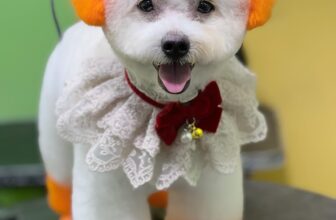 [🆕🇻🇳] Đảo Thú Cưng – Long Thành 🐶🦜 Top1Pets 🐱🐠 : “𝐒𝐞𝐧 𝐨̛𝐢, đ𝐢 𝐬𝐩𝐚 𝐧𝐮̛̃𝐚 𝐧𝐡𝐚?”
𝐒𝐞𝐧: “Đ𝐢 𝐧𝐮̛̃𝐚 𝐡𝐚̉? 𝐌𝐨̛́𝐢 đ𝐢 𝐭𝐮𝐚̂̀𝐧 𝐭𝐫𝐮̛𝐨̛́𝐜!”
: “𝐂𝐡𝐨̛́ đ𝐞̣𝐩 𝐯𝐚̣̂𝐲 𝐫𝐨̂̀𝐢 𝐤𝐡𝐨̂𝐧𝐠 đ𝐢 𝐧𝐮̛̃𝐚 𝐭𝐡𝐢̀ 𝐮𝐨̂̉𝐧𝐠 𝐥𝐚̆́𝐦 đ𝐨́!”Đảo Thú C , shares-1✔️ , likes-0❤️️ , date-2025-07-20 15:45:19🐶🐱🇻🇳🇻🇳🇻🇳📰🆕