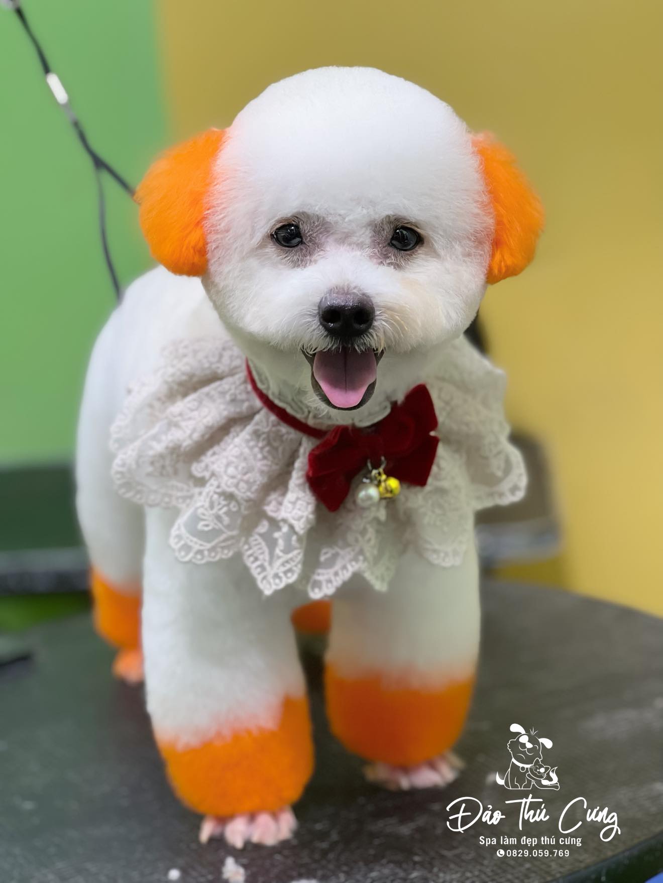 [🆕🇻🇳] Bệnh Viện Thú Y 2VET Long Biên 🐶🦜 Top1Pets 🐱🐠 Cơn mưa ngang qua bất chợt và outfit ra đường của anh Bon kiểu
——————————————
Bệnh viện thú y 2Vet – Long Biên
591 Nguyễn Văn Cừ, Long Biên, Hà Nội
038 , shares-3✔️ , likes-6❤️️ , date-2025-07-20 15:33:22🐶🐱🇻🇳🇻🇳🇻🇳📰🆕