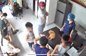 [🆕🇻🇳] Phòng Khám Thú Y Sơn Tây Pet 🐶🦜 Top1Pets 🐱🐠 Bạn biết tại sao người ta hay nhắc đến bạn không???
Vì bạn đỉnh quáBỆNH VIỆN THÚ Y SƠN TÂY PET
Khám-Điều trị-Phẫu thuật-Petshop-Spa
Đc: Ngõ 28 Chùa Th , shares-0✔️ , likes-4❤️️ , date-2025-07-13 19:12:14🐶🐱🇻🇳🇻🇳🇻🇳📰🆕