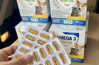 [🆕🇻🇳] Gấu Bông Pet Shop 🐶🦜 Top1Pets 🐱🐠 Chỉ #188k #freeship – 1 hộp dầu cá – giúp BOSS cưng có bộ lông luôn chắc khỏe, mềm mượtDầu cá SAKAN cho chó, mèo mọi lứa tuổiBổ sung DHA, EPA, Omeg , shares-0✔️ , likes-0❤️️ , date-2025-07-17 00:56:35🐶🐱🇻🇳🇻🇳🇻🇳📰🆕