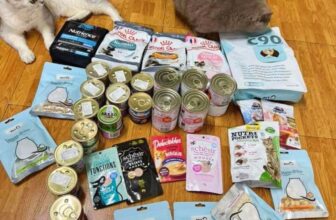 [🆕🇻🇳] Paddy Pet Shop 🐶🦜 Top1Pets 🐱🐠  Tổng hợp những #FEEDBACK hết sức đáng yêu và có tâm từ các Sen nhà Paddy. Không gì hạnh phúc hơn khi được nhận thật nhiều đánh giá tốt từ khách hàng. Team , shares-1✔️ , likes-8❤️️ , date-2025-07-14 22:21:34🐶🐱🇻🇳🇻🇳🇻🇳📰🆕