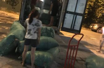 [🆕🇻🇳] Hoàng Nhi Tổng Kho sỉ Sll 🧑‍🧒❤️️👶⭐️ Lốt chuyến rồi em về chánh bão đây ce
, shares-0✔️ , likes-0❤️️ , date-2025-07-22 01:28:52🇻🇳🇻🇳🇻🇳📰🆕