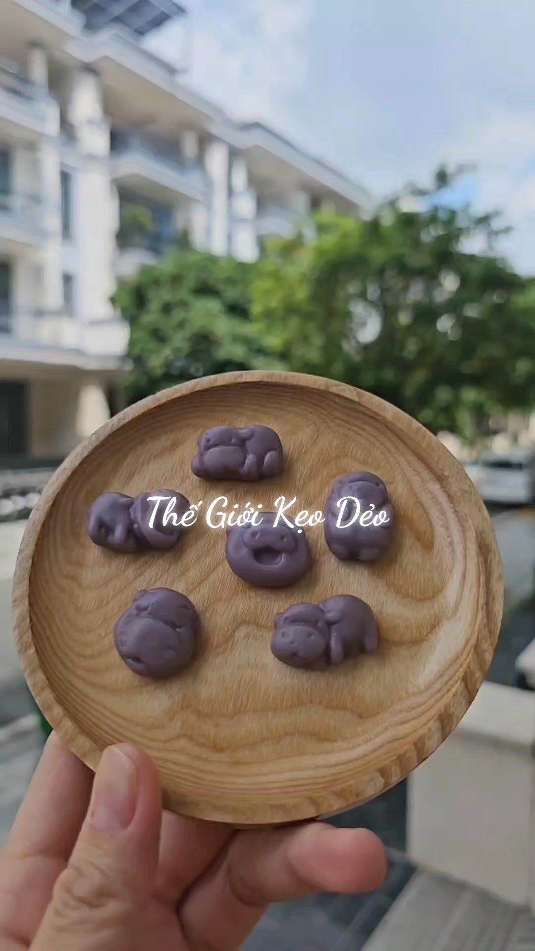 [🆕🇻🇳] Thế Giới Kẹo Dẻo – Tổng kho Sỉ – Lẻ 700 vị kẹo dẻo 🍔 Top1Food  🍜 THẾ GIỚI KẸO DẺO , shares-0✔️ , likes-0❤️️ , date-2025-07-16 17:03:43🇻🇳🇻🇳🇻🇳📰🆕