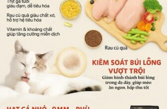 [🆕🇻🇳] Tran pet – Dịch vụ thú cưng 🐶🦜 Top1Pets 🐱🐠  HẠT MÈO CAT’S EYE – DINH DƯỠNG TOÀN DIỆN CHO MÈO MỌI LỨA TUỔIBạn đang tìm một loại thức ăn giúp mèo yêu của mình khỏe mạnh từ bên trong, đẹp lông từ bê , shares-0✔️ , likes-1❤️️ , date-2025-07-19 15:43:18🐶🐱🇻🇳🇻🇳🇻🇳📰🆕