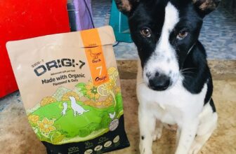 [🆕🇻🇳] Mozzi Pet Shop – Bán tất cả mọi thứ cho chó mèo🐶🦜 Top1Pets 🐱🐠 Hạt ship đi là feedback về quá trời
Còn bé nào kén ăn, tiêu hoá kém thì có thể dùng thử hạt mềm Origi-7 của Hàn Quốc ạmấy bé khách đều kén ăn mà hạt về b , shares-1✔️ , likes-7❤️️ , date-2025-07-20 18:33:48🐶🐱🇻🇳🇻🇳🇻🇳📰🆕