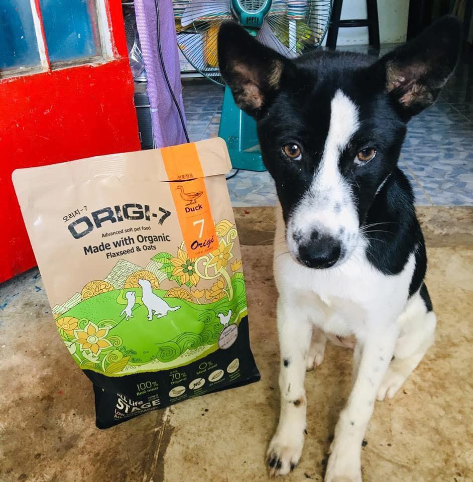 [🆕🇻🇳] Mozzi Pet Shop – Bán tất cả mọi thứ cho chó mèo🐶🦜 Top1Pets 🐱🐠 Hạt ship đi là feedback về quá trời
Còn bé nào kén ăn, tiêu hoá kém thì có thể dùng thử hạt mềm Origi-7 của Hàn Quốc ạmấy bé khách đều kén ăn mà hạt về b , shares-1✔️ , likes-7❤️️ , date-2025-07-20 18:33:48🐶🐱🇻🇳🇻🇳🇻🇳📰🆕