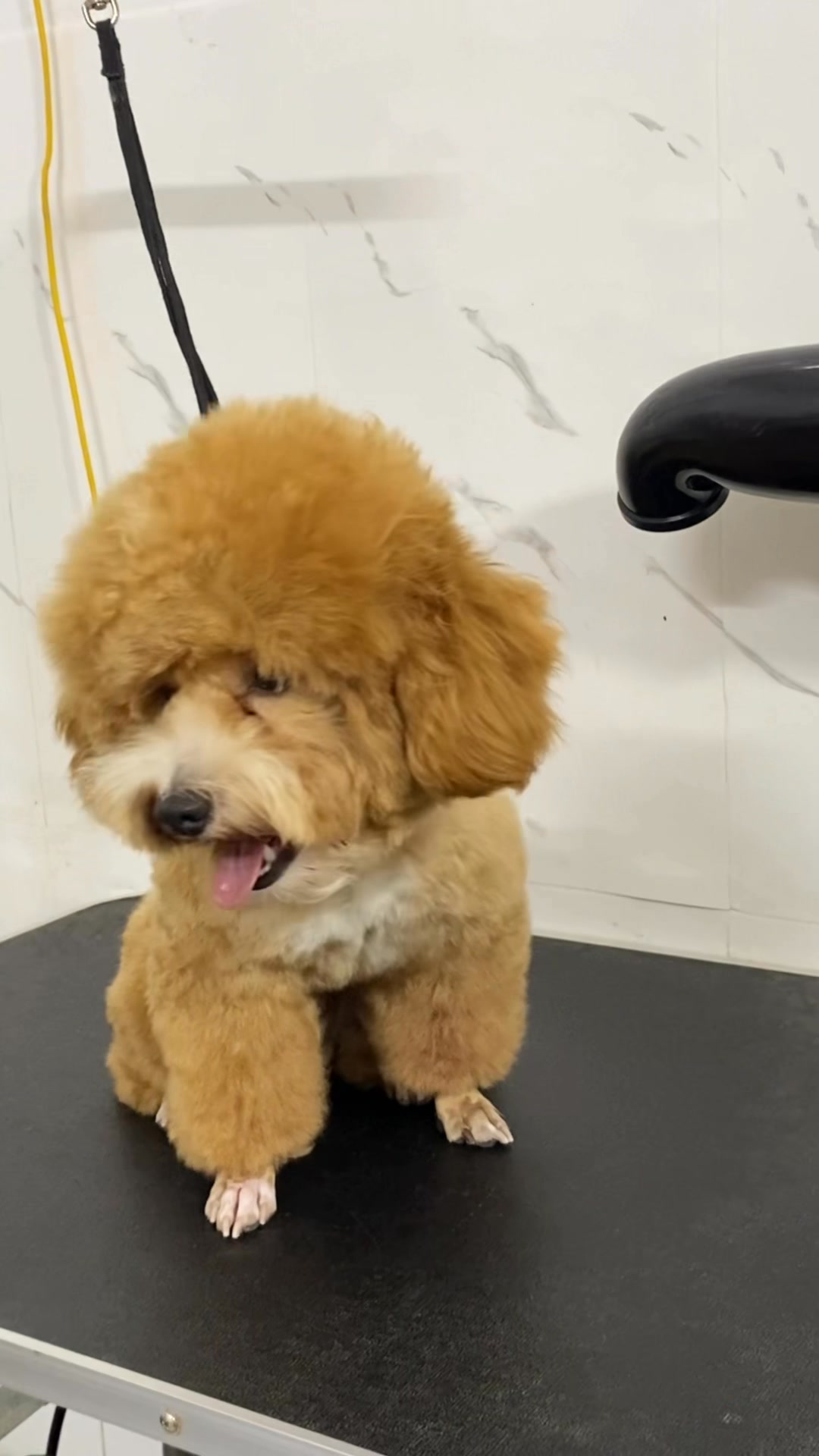 [🆕🇻🇳] Thảo Nguyên Baby – Cửa hàng Mẹ & Bé 🧑‍🧒❤️️👶⭐️  Sữa hạt Nature Pick Hàn Quốc 12M+Với sự kết hợp hài hòa giữa các thành phần tự nhiên như sữa đậu nành, óc chó, hạnh nhân và đậu đen, Nature Pick mang đế , shares-4✔️ , likes-1❤️️ , date-2025-07-19 22:24:18🇻🇳🇻🇳🇻🇳📰🆕