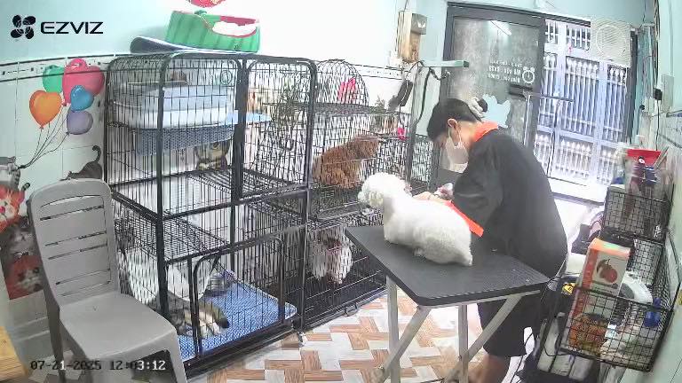 [🆕🇻🇳] Thiết kế và In ấn Việt Thanh – chuyên in menu nhựa, menu bìa da, menu spa, salon, menu fomex, card, menu led gỗ  🎨 Top1Designs ✨  #in_menu_giá_rẻ_chỉ_từ_40k
MENU NHỰA CAO CẤP – ĐẲNG CẤP CHO NHÀ HÀNG!
Chống nước – Chống xước – Chống gãy – Chống bay màu
– Không lo ẩm ướt, không sợ nư , shares-0✔️ , likes-0❤️️ , date-2025-07-21 19:13:52🇻🇳🇻🇳🇻🇳📰🆕