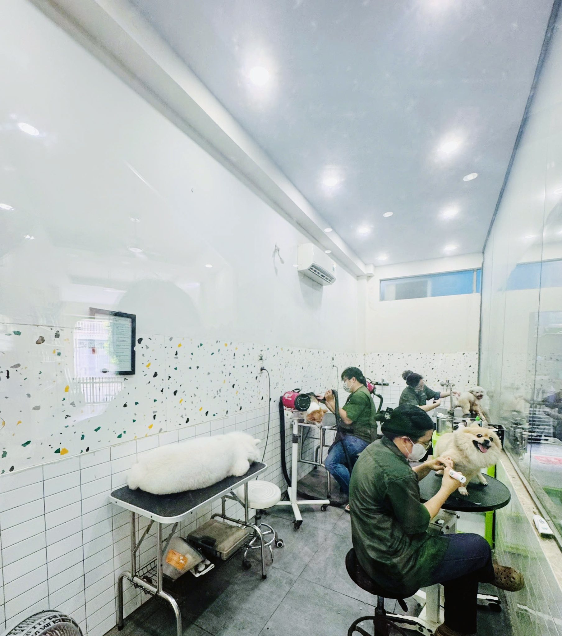 [🆕🇻🇳] Dog Salon MoMo & Academy – Studio – Spa – Hotel – Academy 🐶🦜 Top1Pets 🐱🐠 HELLO, TUI ĐẾN ĐÂY .
Đầu tuần được ông bà zà cho đi làm đẹp ở Dog Salon Momo
Tui làm combo đủ 15 bước thơm tho sạch đẹp luôn nhen
—————
Dog salon MoMo : , shares-0✔️ , likes-3❤️️ , date-2025-07-21 18:38:40🐶🐱🇻🇳🇻🇳🇻🇳📰🆕