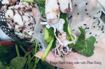 [🆕🇻🇳] Bánh tráng mắm ruốc Phan Rang – chuyên sỉ lẻ số lượng nhỏ và lớn bánh tráng mắm ruốc nướng cuộn nhà làm chính gốc 🍔 Top1Food  🍜 #Bánh_tráng_nhúng_mè đen siêu hot của shop
Mềm dẻo dai sau khi nhúng nước
Bánh ngon giá ưu đãi lại còn miễn phí ship!!
nhắn shop đặt hàng ngay nh , shares-0✔️ , likes-0❤️️ , date-2025-07-22 17:50:37🇻🇳🇻🇳🇻🇳📰🆕
