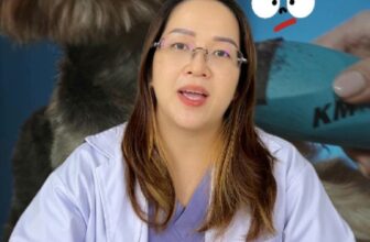 [🆕🇻🇳] CPC PetCare 🐶🦜 Top1Pets 🐱🐠  Cạo lông máu – mẹo làm đẹp hay thói quen gây hại?
Xem hết clip để hiểu và chăm sóc đúng cho bé yêu nhé!
#alobacsididinghe #cạolôngmáuchó #cạolônglầnđầu , shares-0✔️ , likes-0❤️️ , date-2025-07-20 04:41:09🐶🐱🇻🇳🇻🇳🇻🇳📰🆕