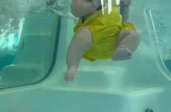 [🆕🇻🇳] Baby Care – Bé Vui Khoẻ, Mẹ An Tâm 🧑‍🧒❤️️👶⭐️ GIẢI PHÓNG NĂNG LƯỢNG THỪA CHO BÉ CÙNG BABY CAREBé vốn được hoạt động tự do trong môi trường nước ở bụng mẹ suốt 9 tháng 10 ngày, nhưng từ khi sinh ra đã , shares-0✔️ , likes-0❤️️ , date-2025-07-18 05:20:47🇻🇳🇻🇳🇻🇳📰🆕