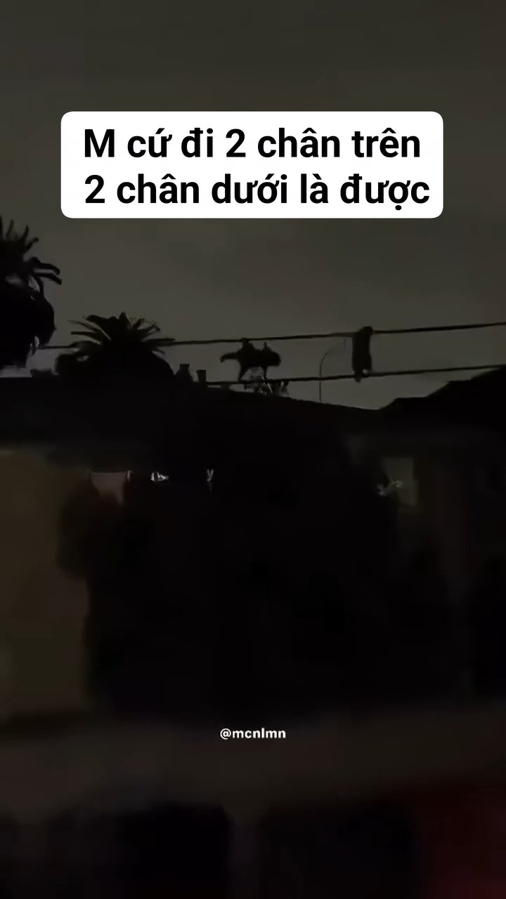 [🆕🇻🇳] Boss City – 174 Đường 3 Tháng 2 – Pet Shop, Spa Grooming & Hotel Lưu Trú 🐶🦜 Top1Pets 🐱🐠  CHỈ CÒN 3 NGÀY – CHƯƠNG TRÌNH QUÉT MÃ QR NHẬN QUÀ CỰC XỊN SẮP KẾT THÚC!
Mấy “sen” ơi, nhanh tay quét mã QR tại quầy Boss City để nhận ngay quà tặng siêu d , shares-0✔️ , likes-4❤️️ , date-2025-07-18 17:32:33🐶🐱🇻🇳🇻🇳🇻🇳📰🆕