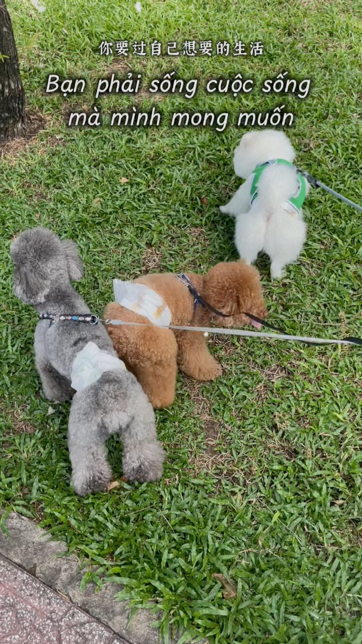 [🆕🇻🇳] Lẩu Tôm 5 Ri Chi Nhánh Vũng Tàu 🍔 Top1Food  🍜 “𝐀̆𝐧 𝐧𝐠𝐨𝐧 𝐜𝐮̃𝐧𝐠 𝐥𝐚̀ 𝐦𝐨̣̂𝐭 𝐜𝐚́𝐜𝐡 đ𝐞̂̉ 𝐛𝐚̣𝐧 𝐭𝐚̣̂𝐧 𝐡𝐮̛𝐨̛̉𝐧𝐠 𝐜𝐮𝐨̣̂𝐜 𝐬𝐨̂́𝐧𝐠 𝐯𝐚̀ 𝐥𝐚̀𝐦 𝐜𝐡𝐨 𝐛𝐚̉𝐧 𝐭𝐡𝐚̂𝐧 𝐡𝐚̣𝐧𝐡 𝐩𝐡𝐮́𝐜 𝐡𝐨̛𝐧 …”
Đi đâu ăn gì đây cả nhà ơi? LẨU TÔM 5 RI , shares-0✔️ , likes-6❤️️ , date-2025-07-21 16:37:32🇻🇳🇻🇳🇻🇳📰🆕