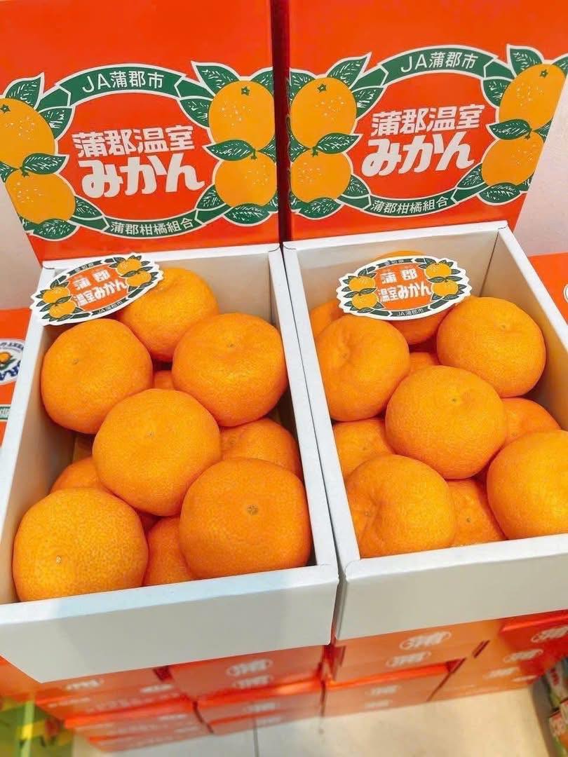 [🆕🇻🇳] Morra Việt Nam – Làm đẹp, mỹ phẩm & chăm sóc cá nhân 💅💇 Top1Makeup 💕👄  Cảm ơn bạn thật nhiều vì đã dành thời gian để viết những dòng động viên cho đội ngũ tư vấn của chúng tôi. Mỗi lời khen bạn gửi đến đều được cả team trân tr , shares-1✔️ , likes-20❤️️ , date-2025-07-22 19:30:16🇻🇳🇻🇳🇻🇳📰🆕