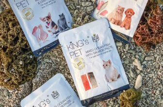 [🆕🇻🇳] King’s Pet Vietnam 🐶🦜 Top1Pets 🐱🐠  Du lịch có boss đi cùng thì vui gấp đôi – nhưng cũng lo gấp bội?
Mèo cưng đi chơi xa dễ biếng ăn, lạ mùi, khó tiêu – nên Sen càng cần chuẩn bị đồ ăn gọn  , shares-0✔️ , likes-53❤️️ , date-2025-07-20 03:00:19🐶🐱🇻🇳🇻🇳🇻🇳📰🆕