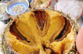 [🆕🇻🇳] Ốc 379 – Quán ăn hải sản gia đình 🍔 Top1Food  🍜 Shop về được 200 con nhum đẹp phục vụ cuối tuần
, shares-0✔️ , likes-5❤️️ , date-2025-07-19 18:00:59🇻🇳🇻🇳🇻🇳📰🆕