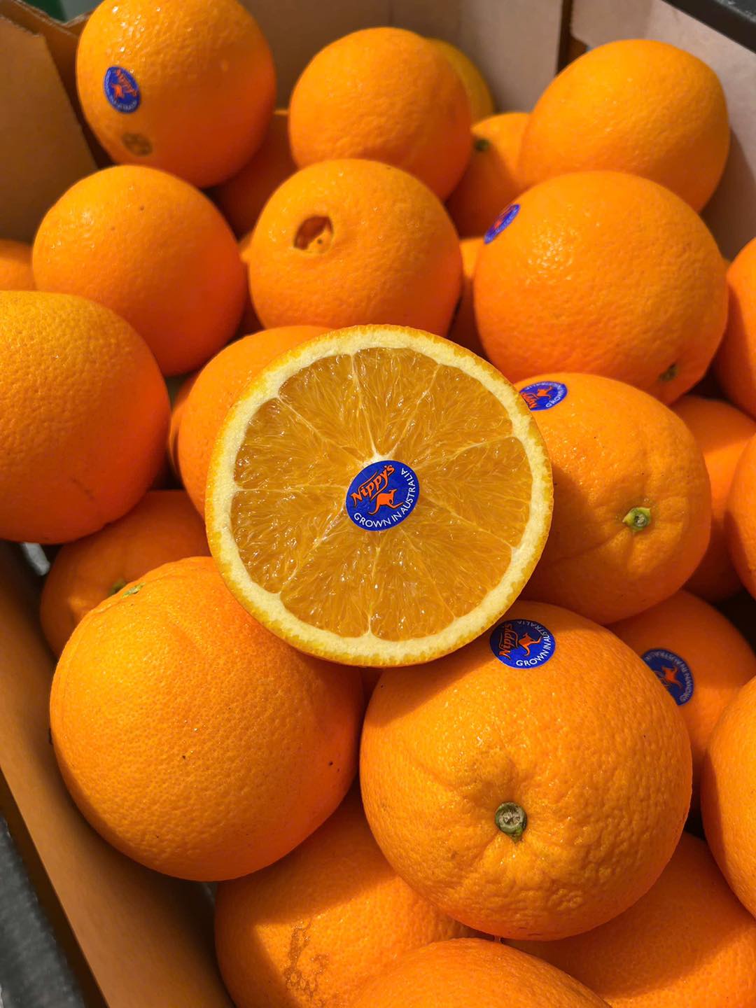 [🆕🇻🇳] Thuyền bà Thảo – Cửa hàng mỹ phẩm 👕 Top1Fashion 👗  GOM SEO HOTTBảng Trang Điểm JUDY DOLL Makeup –  5 Trong 1
Gồm son + phấn mắt , má , lông mày + cọ 2 đầu + gương
Hộp nhỏ gọn tiện dụng nhoaaa~
Bà gom v , shares-0✔️ , likes-2❤️️ , date-2025-07-24 16:56:34🇻🇳🇻🇳🇻🇳📰🆕