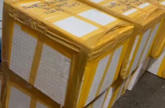 [🆕🇻🇳] Tôm Hùm Việt – Chuyên cung cấp sỉ tôm hùm cho các vựa, nhà hàng khách sạn 🍔 Top1Food  🍜 KHỞI ĐỘNG ĐẦU TUẦN
Hàng về – Hàng đi mỗi ngày
Sll thả hồ – Bao sống khoẻ thả hồ vô tư
Nhận đơn sỉ các tỉnh – hỗ trợ giá tốt
Liên hệ đặt nhanh: 086565106 , shares-0✔️ , likes-0❤️️ , date-2025-07-21 21:39:43🇻🇳🇻🇳🇻🇳📰🆕