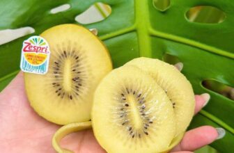 [🆕🇻🇳] Vườn Dâu Nhà Mớm – Based in Saigon 🍔 Top1Food  🍜  Kiwi Vàng NZL S22 LÔ MỚI GIÁ MỚIKiwi bắt đầu chính vụ rồi, ăn siêu ngon nè cácc tình yêu ơi.240k/Hộp 6 Trái
, shares-0✔️ , likes-0❤️️ , date-2025-07-21 23:02:55🇻🇳🇻🇳🇻🇳📰🆕