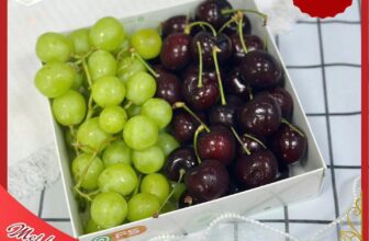 [🆕🇻🇳] F5 Fruit Shop Hồ Chí Minh-hệ thống bán lẻ Trái cây Nhập khẩu cao cấp 🍔 Top1Food  🍜  COMBO TRÁI CÂY MÙNG 1 – CHỈ TỪ #95K
Ngày mùng 1 đầu tháng, nếu bạn vẫn còn băn khoăn chưa biết chuẩn bị gì để dâng lễ hay đặt lên mâm cúng gia tiên – thì , shares-1✔️ , likes-16❤️️ , date-2025-07-23 07:14:57🇻🇳🇻🇳🇻🇳📰🆕