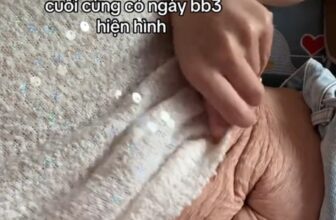 [🆕🇻🇳] Góc Chị Em-Là phụ nữ hãy sống như những đóa hoa, xinh đẹp rực rỡ không phải vì ai ngắm nhìn ♥️️ Top1Life 🌱  Hi sinh vì gia đình chồng để nhận lại được gì
Nguồn: Nia Nia
#kamidi #kamidivietnam , shares-0✔️ , likes-0❤️️ , date-2025-07-24 02:02:07🇻🇳🇻🇳🇻🇳📰🆕